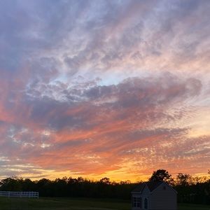 Meet your Posher, Eva